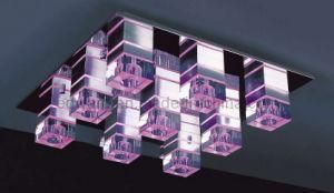 Modern LED Ceiling Light (25095/9Y)