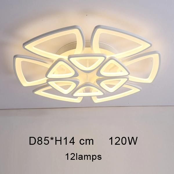 Adjustable Acrylic Ceiling Lights for Living Room Bedroom Kitchen Lighting Fixtures (WH-MA-58)