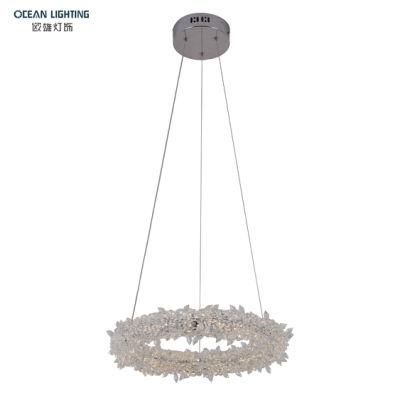 Pendant Lighting for Kitchen Hanging Pendant Light Omd8138/40 Dia40cm