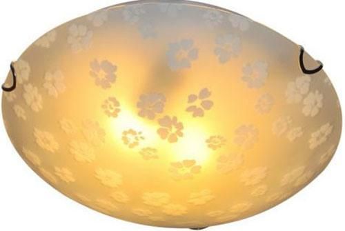 Round Glass Ceiling Lamp D30 D40 with CE Certificate Home Lighting Decorative Light