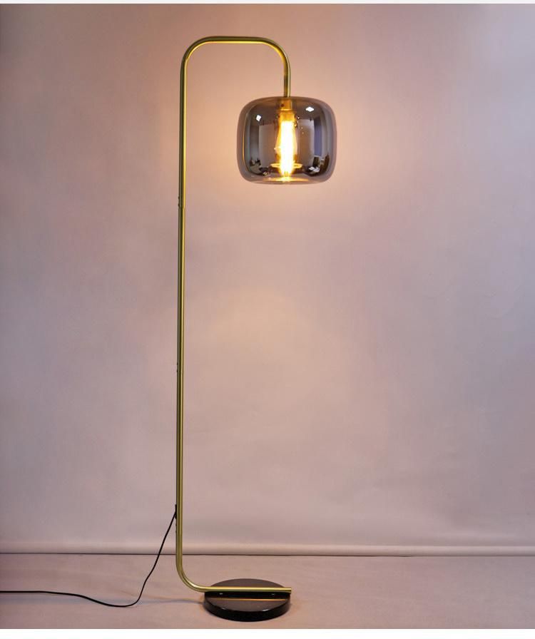 Nordic LED Floor Lamp Modern Floor Lamp Study Living Room Bedroom Study Bedside Indoor Lighting (WH-MFL-104)