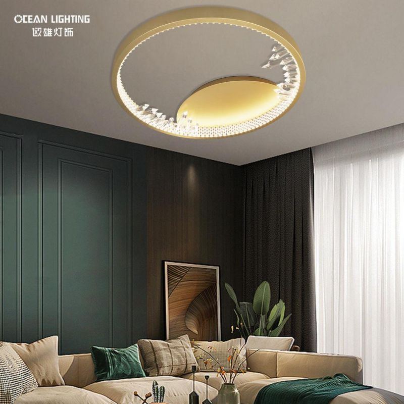 Ceiling Lighting Lamp Fancy Ceiling Lights Modern Ceiling Lamp