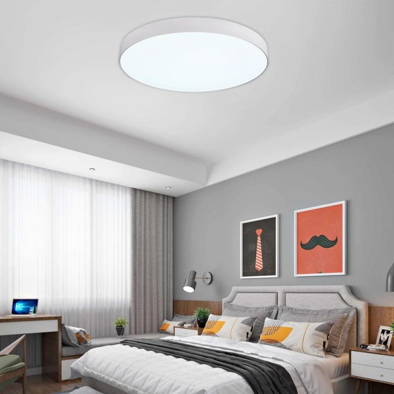 Nordic Smart Indoor LED Lighting Decorative Ceiling Light