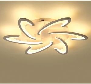 LED Ceiling Light Modern and Simplifized Design 2020