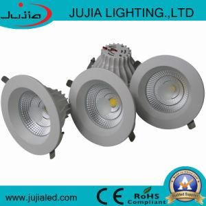 Nice Price 30W LED COB Down Light 100-240V