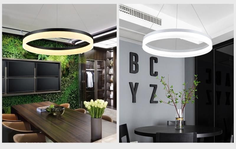 Modern Single Ring Acrylic Suspension LED Pendant Light