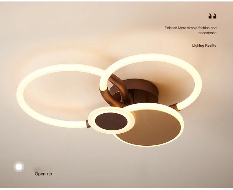 European New Design Decorative Lamp Modern Downlights Luxury Ceiling Lights