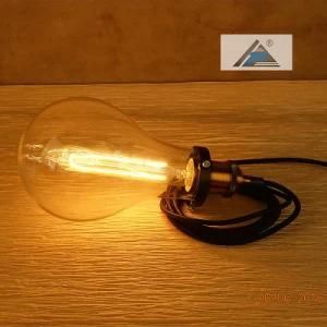 Glass Bulb Style Socket Lamp with Plug (C5006152)