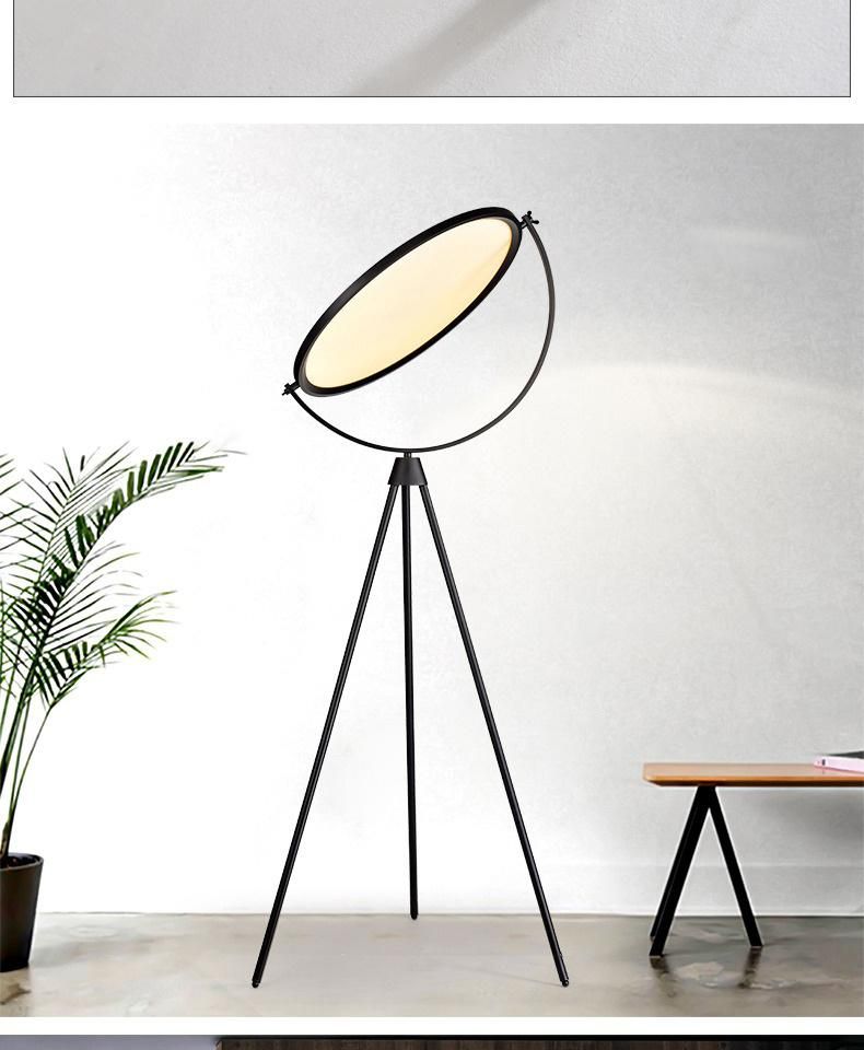 LED36W Italian Modern Minimalist Living Room and Sample Room Floor Lamp Nordic Designer Study Exhibition Hall Art Fall Floor Lamp