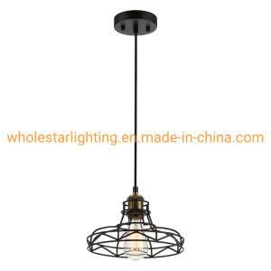 Metal Industrial Pendant Light (WHP-0301)