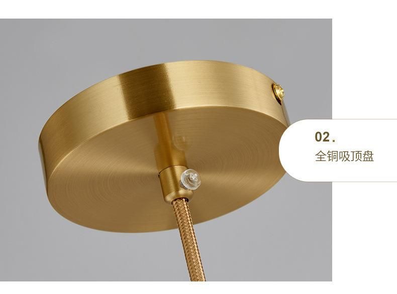 Modern Golden Pendant Lights Bedroom Decor Borgny Oval Ring Frosted Glass Globe Pendant Light (WH-AP-298)