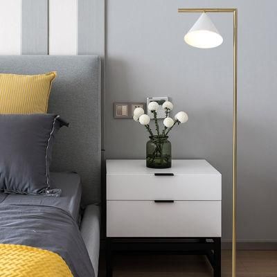 Simple Style Floor Lamp Living Room Lamp Reading Bedside Lamp
