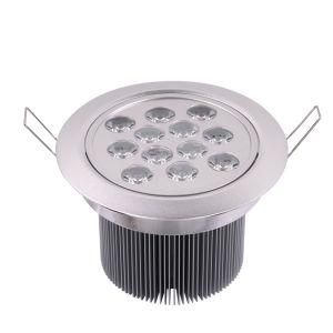 LED Ceiling Light (BS-TH12W-C001)