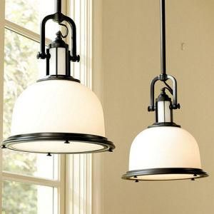 Simple Style Pendant Light for Home
