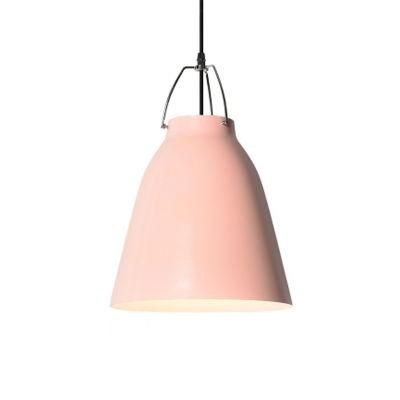 Modern Pendant Lamp Indoor Lighting Single Pendant Lights Hanging Lighting for Home