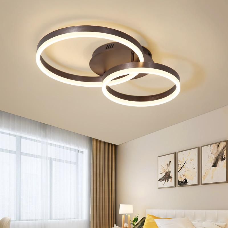 Drop Black Ceiling Light Panels Ring Ceiling Lamp for Indoor Home Lighting (WH-MA-95)