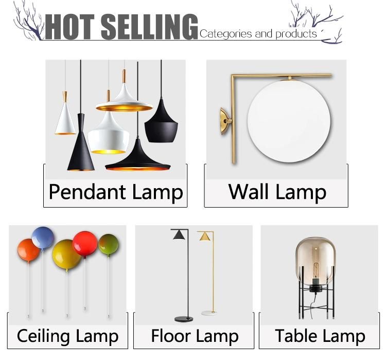 Indoor Decorative Fashion Simple White Glass Lampshade G9 Pendant Light