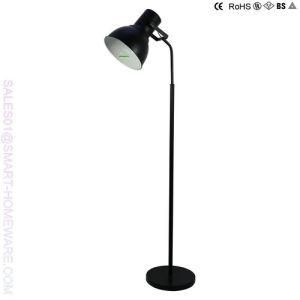 Black Floor Lamp