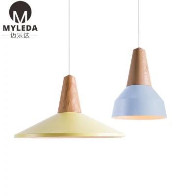 Colorful Hotel Project Decoration LED Pendant Lamp
