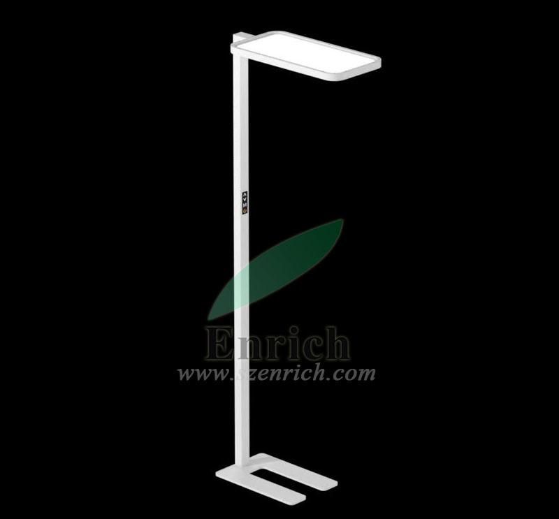 Non-Glare Office LED Floor Lamp with 195cm 60W CCT/Brightness Adjustable