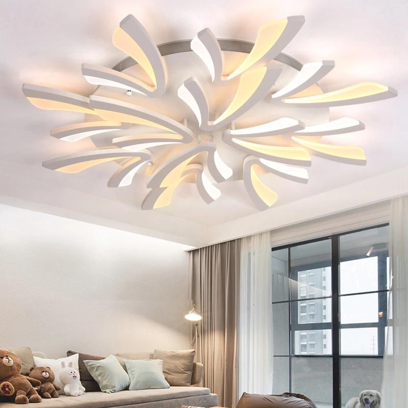 Remote LED Ceiling Lights Modern for Bedroom Dimmer Ceiling Lamps Acrylic Aluminum Body Light Fixture (WH-MA-49)