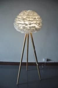 Feather Attached Floor Lamp with Elc and Wooden Lampbased for Sitting Room