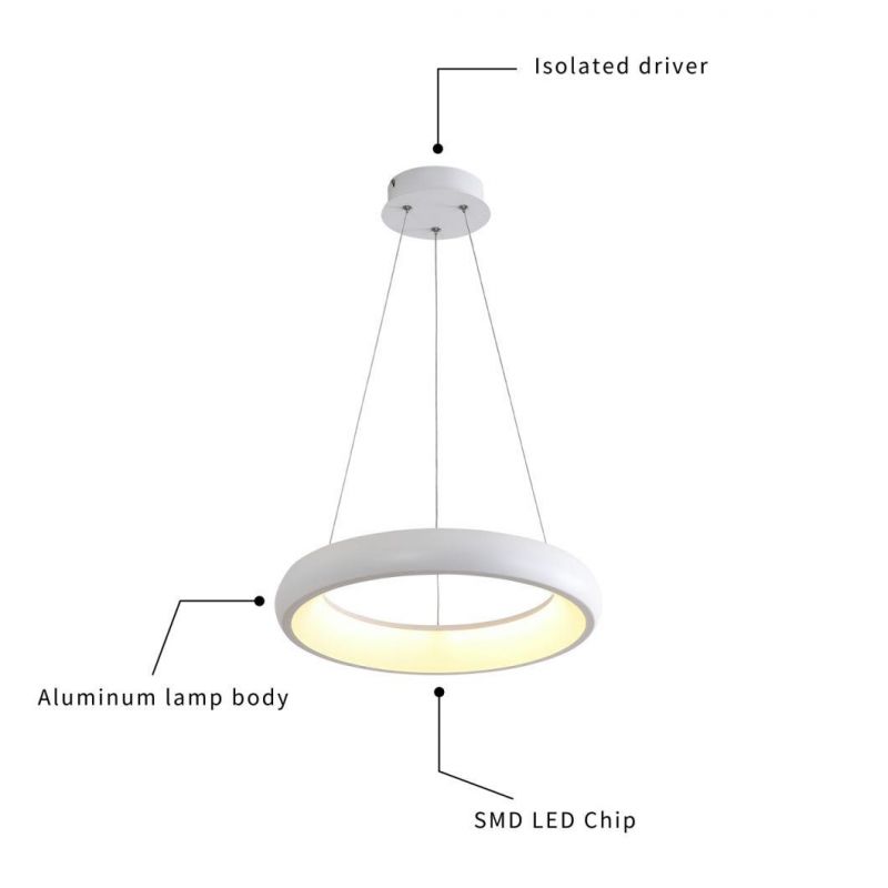 Designer Ceiling Pendants Lighting Aluminum Pendant Lamp for Living Room