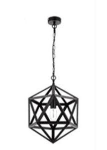 2016 New Middle Metal Hanging Pendant Light