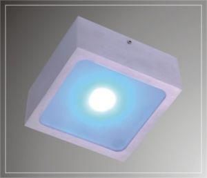 LED Ceiling Lights (LED-200911)