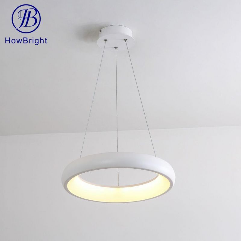 Designer Ceiling Pendants Lighting Aluminum Pendant Lamp for Living Room