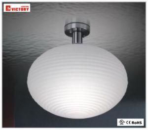 LED Modern Indoor Decorative Energy Saving Ceiling Light Lamp
