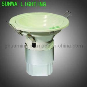 LED Die Casting Wallwasher (SW-LH1210A-7)