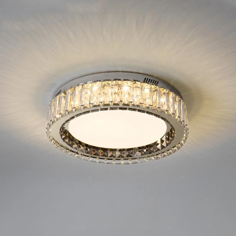 Modern Ceiling Lamps for Living Room Bedroom Hallway LED Lights for Dining Room (WH-CA-66)