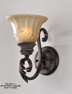 Classical Wall Lamp with Glass Shape (WL001-1)