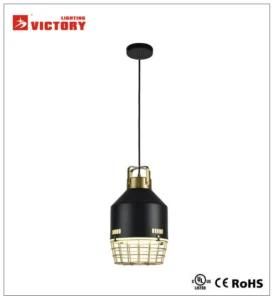 Hot Sale Modern Black Aluminium Lighting Pendant Droplight