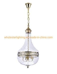 Round Glass Pendant Lamp with Elegant Lacer Cutting (WHG-898)