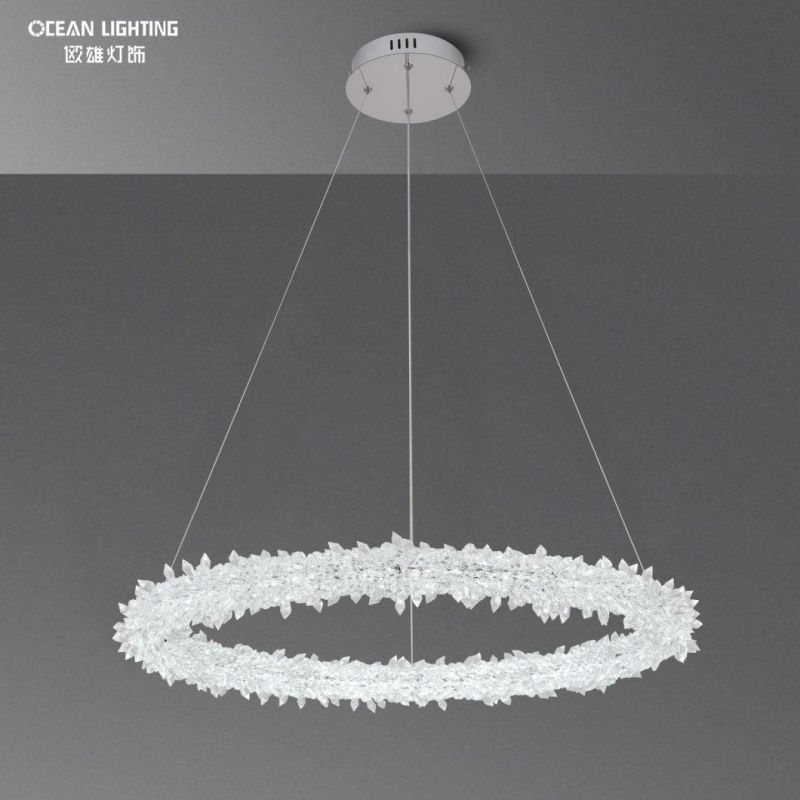 LED Chandelier Pendant Light Chandeliers Pendant Lights Modern Omd8138/100 Dia100cm