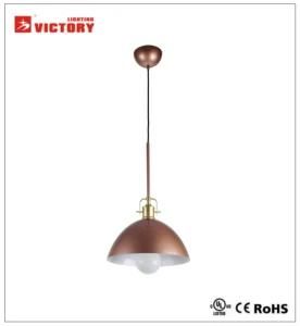 Modern Hotel and Restaurant Lighting Project Pendant Lamp