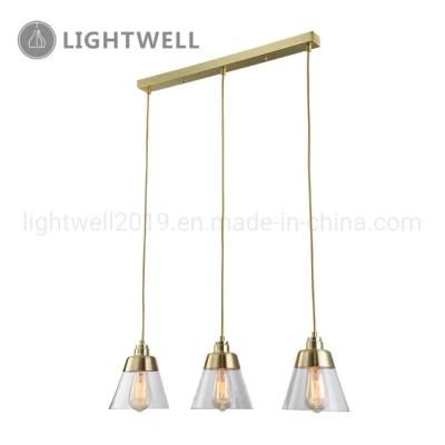 Modern indoor Clear Glass Ceiling Lamp Interior Hanging Pendant Light