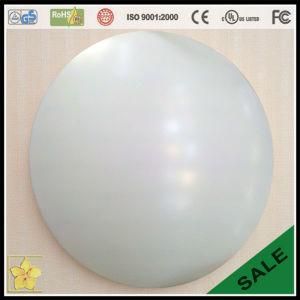 LED Ceiling Light (ZYY1A5-001)