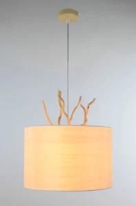 Pendant Lamp (KM-P47)