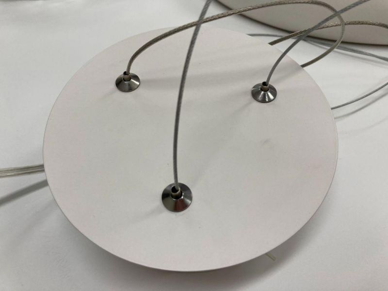 Designer Ceiling Pendants Lighting Aluminum Pendant Lamp for Living Room