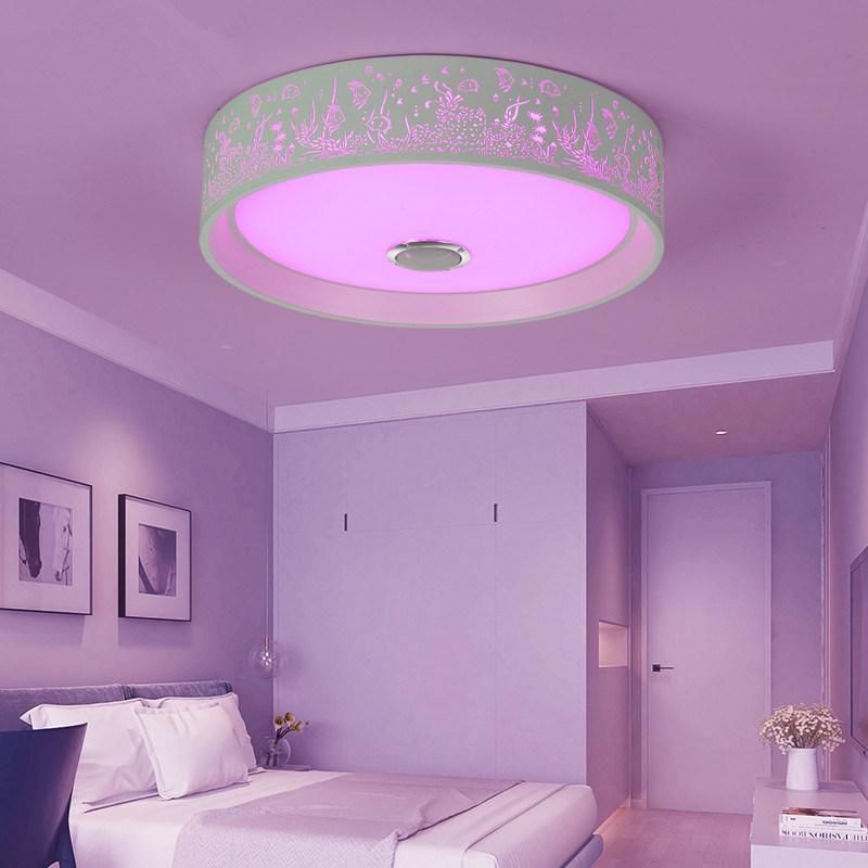 Bedroom Ceiling Lamp Music Bluetooth and Remote Control LED Smart Ceiling Light Fixtures (WH-MA-45)