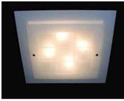 Simple Square Ceiling Lamp (MD-9042S)