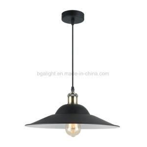 New Design Modern Metal Pendant Light for Hotel