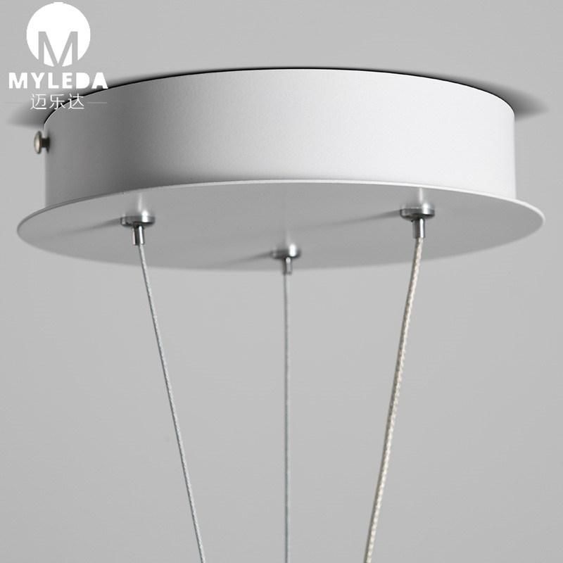 LED Modern Decorative Home Indoor Pendant Lighting