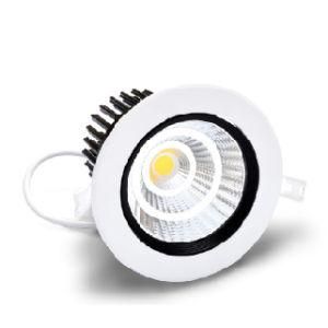 COB LED Down Light (Core)