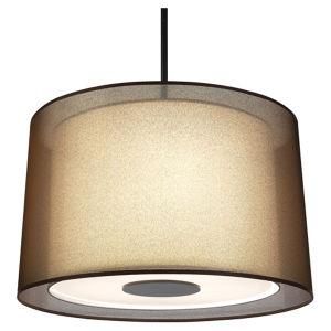 Modern Design Hanging Pendant Decorative Light (54303)