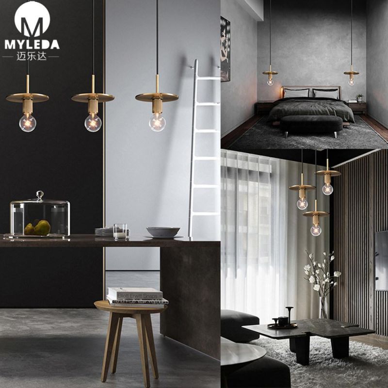 Modern Hotel Decorative LED Hanging Pendant Lighting