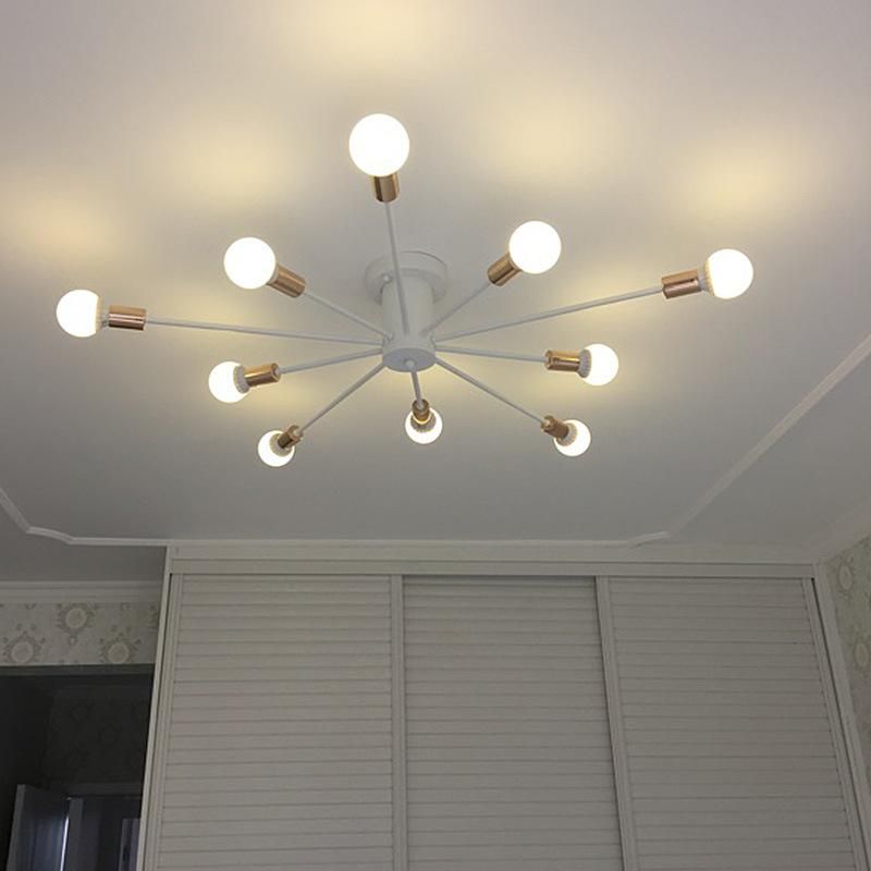 Rustic Industrial Ceiling Lighting for Indoor Home Ceiling Decoaration (WH-LA-15)
